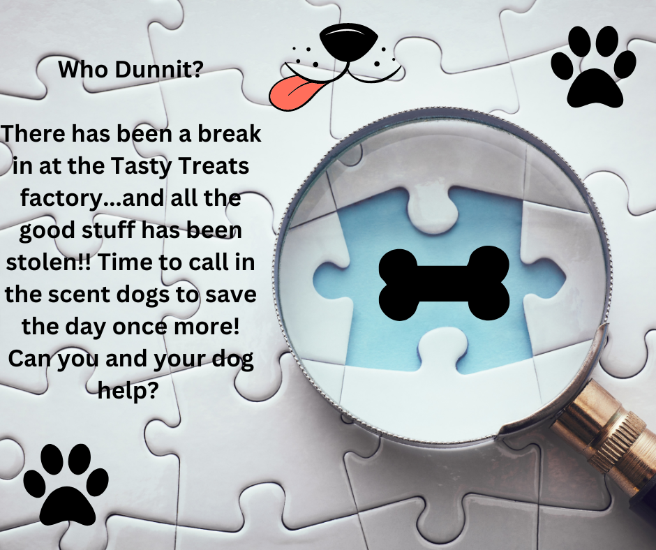 Who Dunnit – Escape Room For Dogs