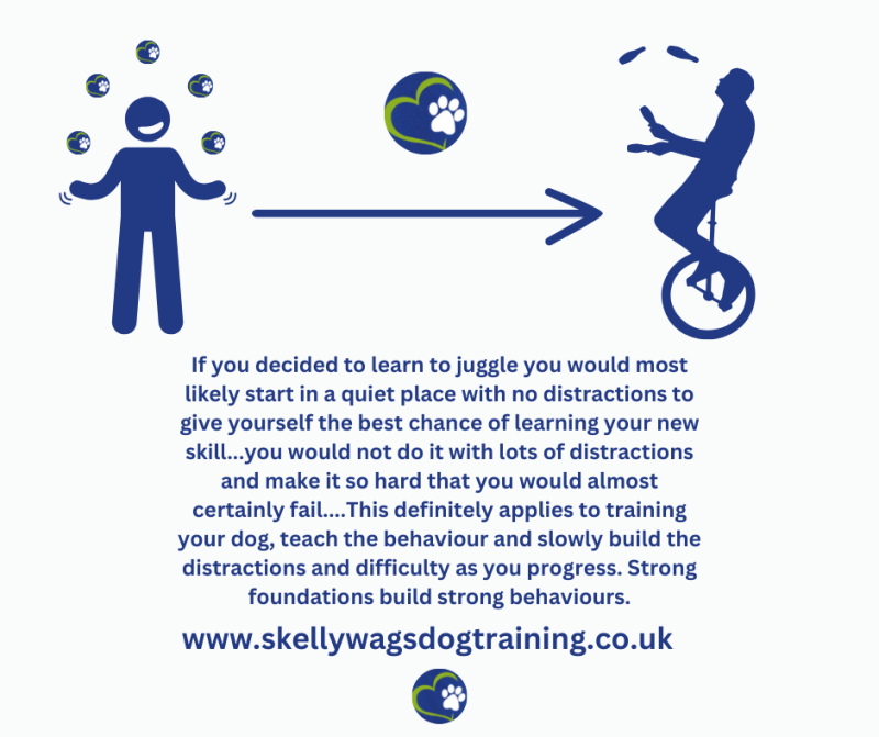 Dog Training and Juggling!