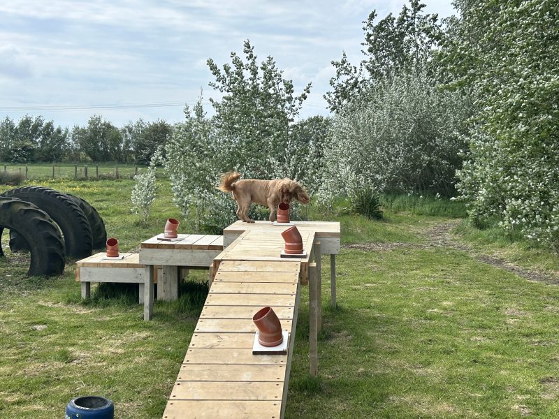 Introduction to Scentwork