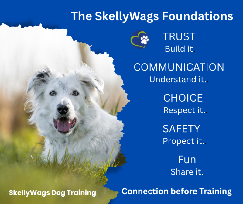 The SkellyWags Foundations