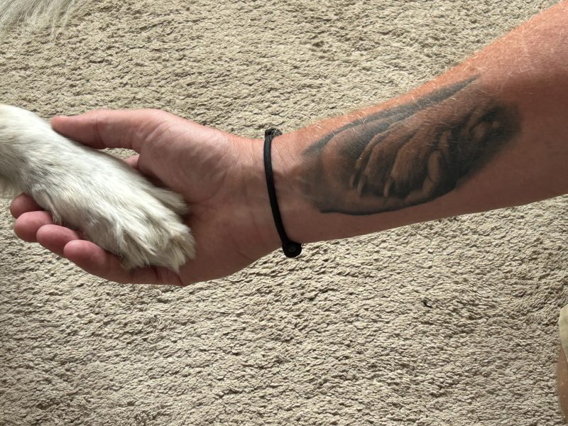 Why Connection Is the Foundation of Everything We Do at SkellyWAGS