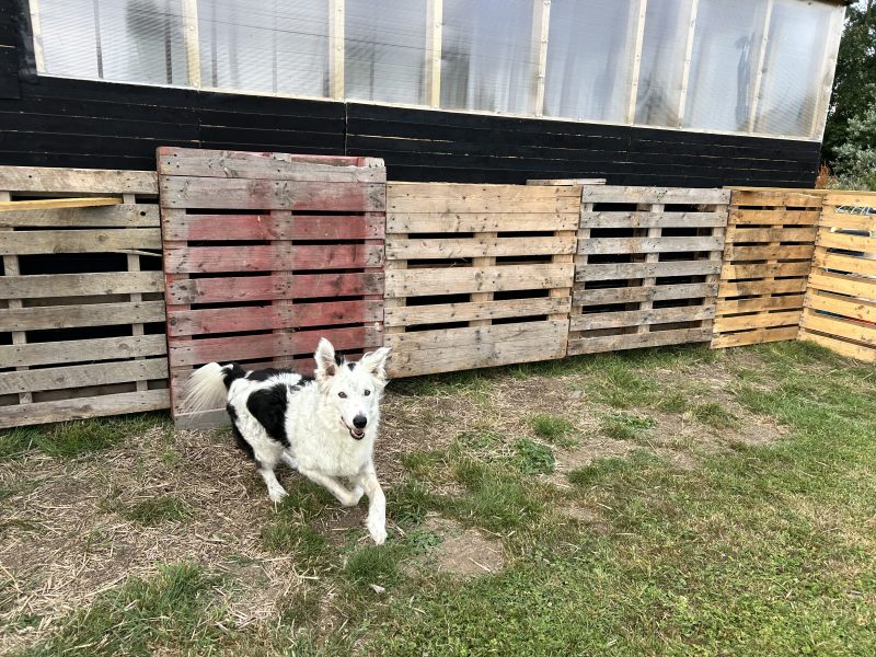 Looking Ahead… We’re so Ready to Get Back to It!