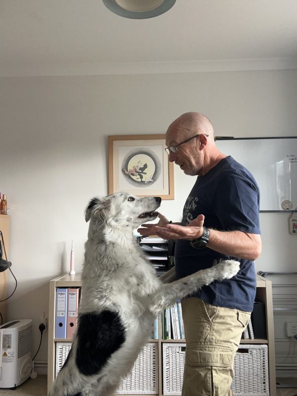 Dog Jumping Up