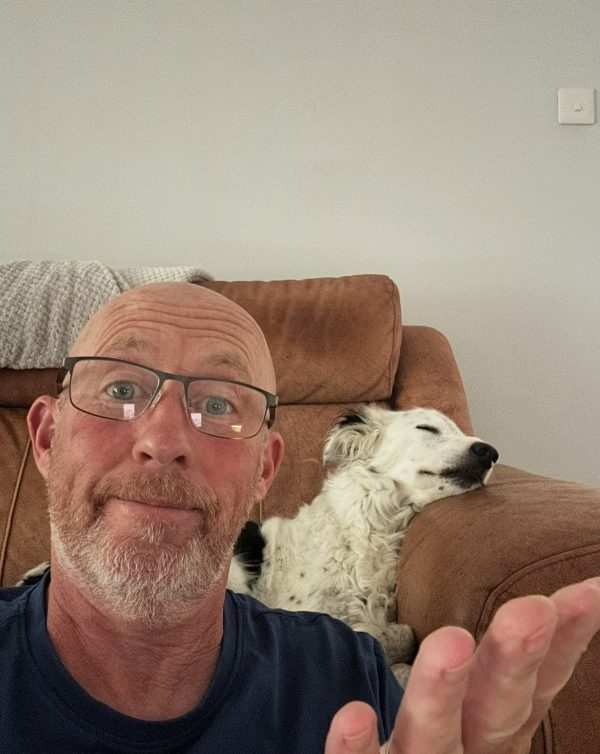 sleeping dog on couch